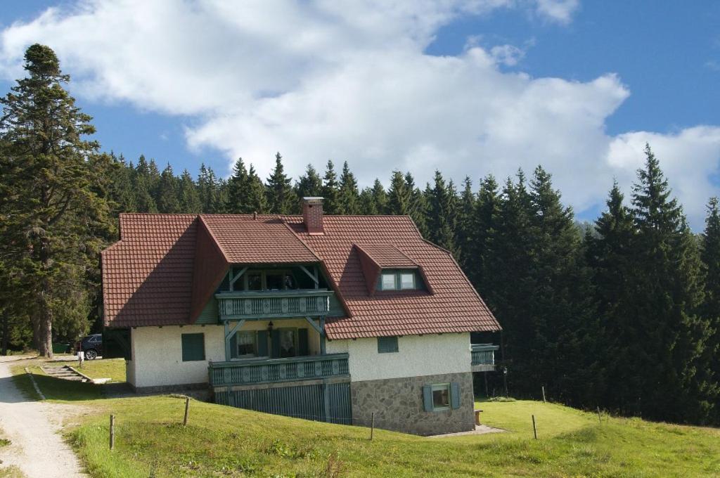 Apartma Borovnica Rogla Vitanje Exterior foto